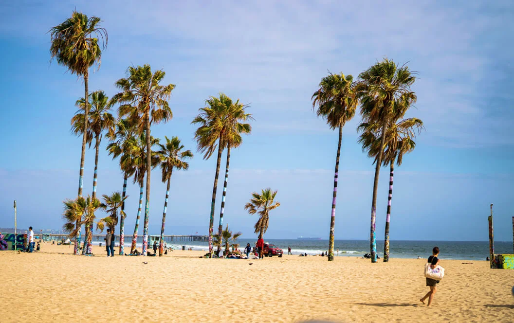 Venice Beach