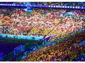 We are experts at the world's biggest sporting events. Save your time and stress on planning