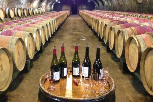Beaujolais South to North Discovery Private Day Tour with Tastings