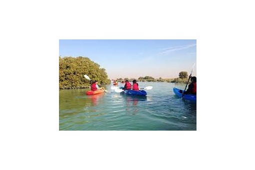 Kayaking tour from Doha / 6 hours / from US$ 290