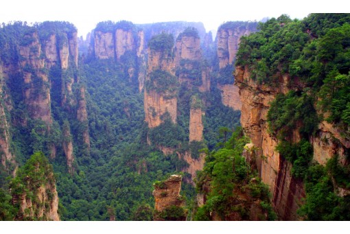 Day 4: Zhangjiajie National Forest Park