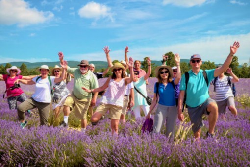 30 July, Day 7: Nice. Gorges of Verdon and Fields of Lavender Tour