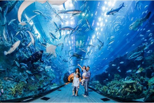 Dubai Aquarium & Underwater Zoo / from US$ 29