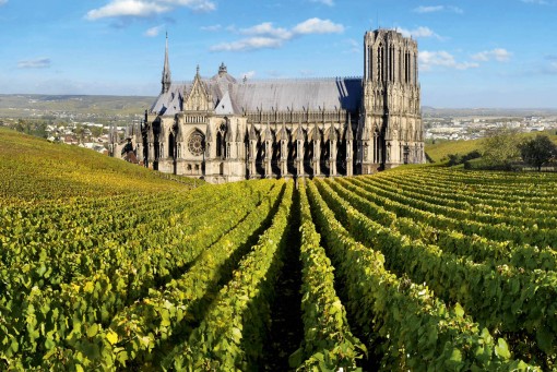 Tour 1. Champagne: Where the world’s best bubbly was born